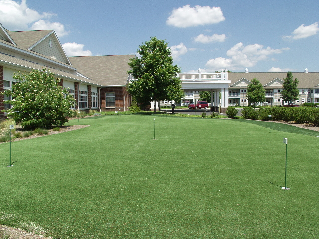 Backyard Putting Green